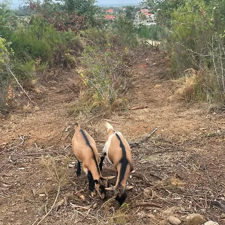 Moradias Vista Serra